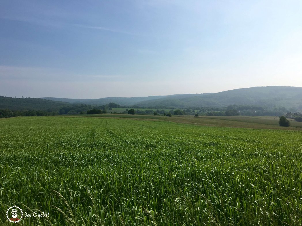 Rennradtour, Niederösterreich, Wien, Wienerwald, Höhenstraße